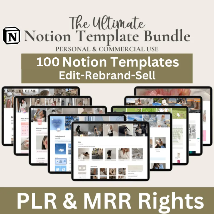 100 NOTION TEMPLATE’S